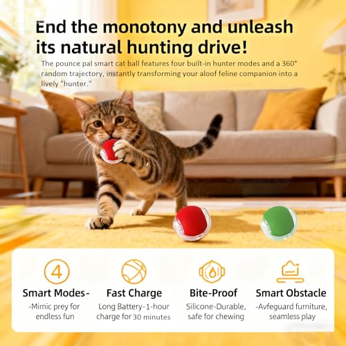 🔥HOT SALE 50%OFF🔥Interactive Cat Toys Ball for Indoor Cats✨