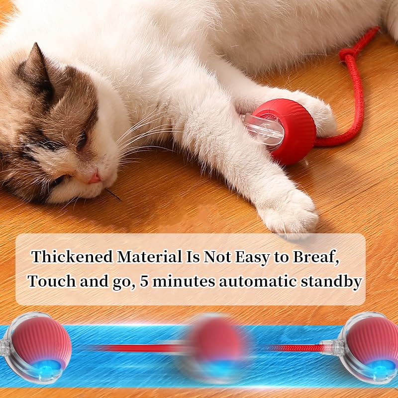 🔥HOT SALE 50%OFF🔥Interactive Cat Toys Ball for Indoor Cats✨