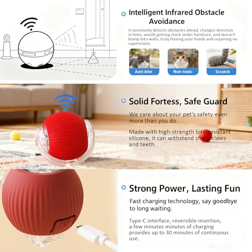 🔥HOT SALE 50%OFF🔥Interactive Cat Toys Ball for Indoor Cats✨