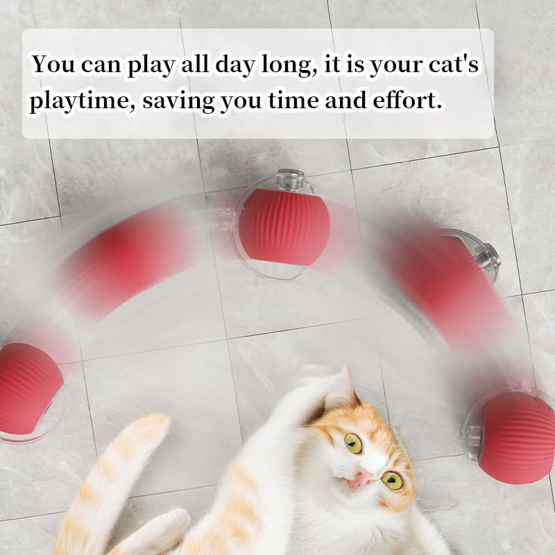 🔥HOT SALE 50%OFF🔥Interactive Cat Toys Ball for Indoor Cats✨