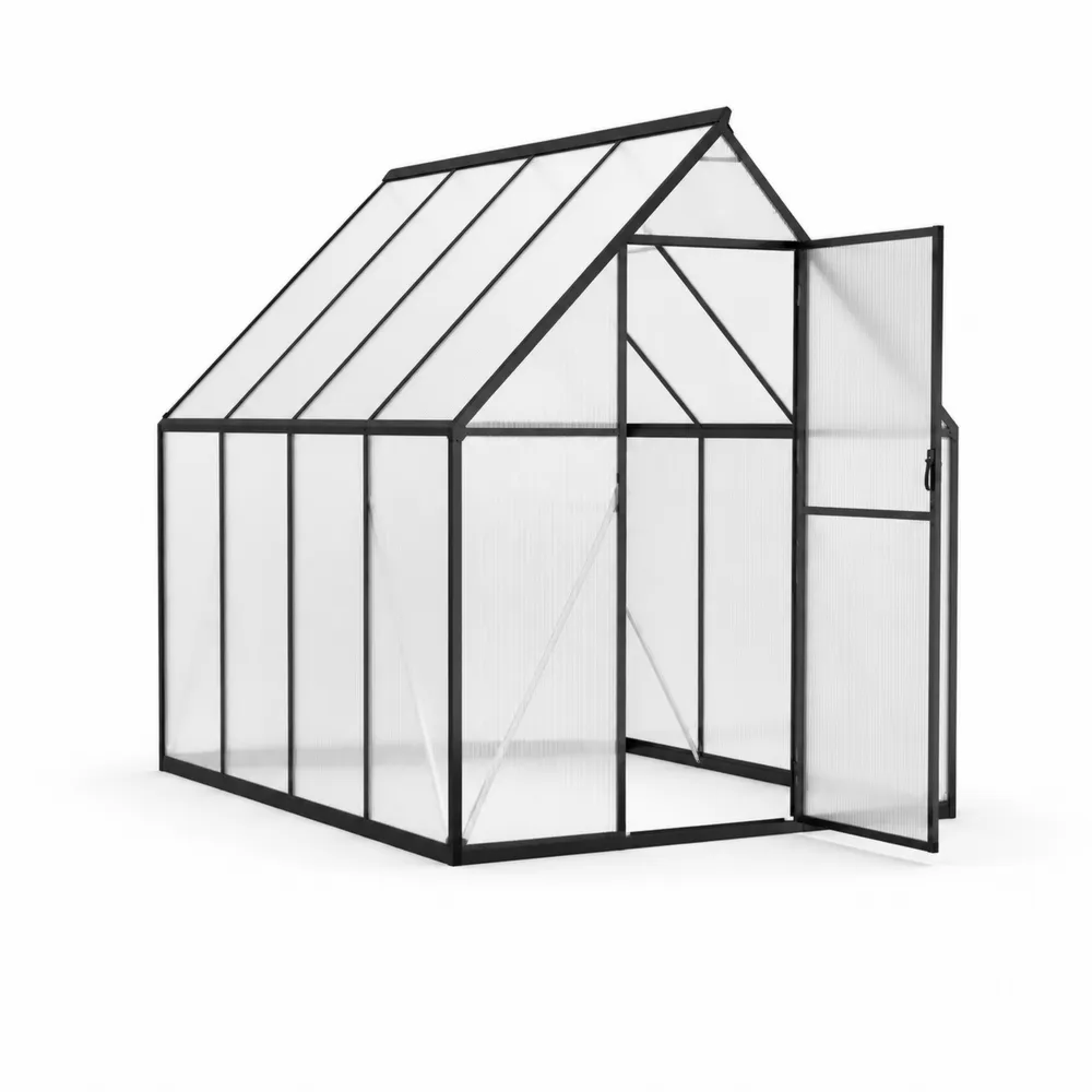 Invernadero de Aluminio y Policarbonato Negro 250x200x200 cm