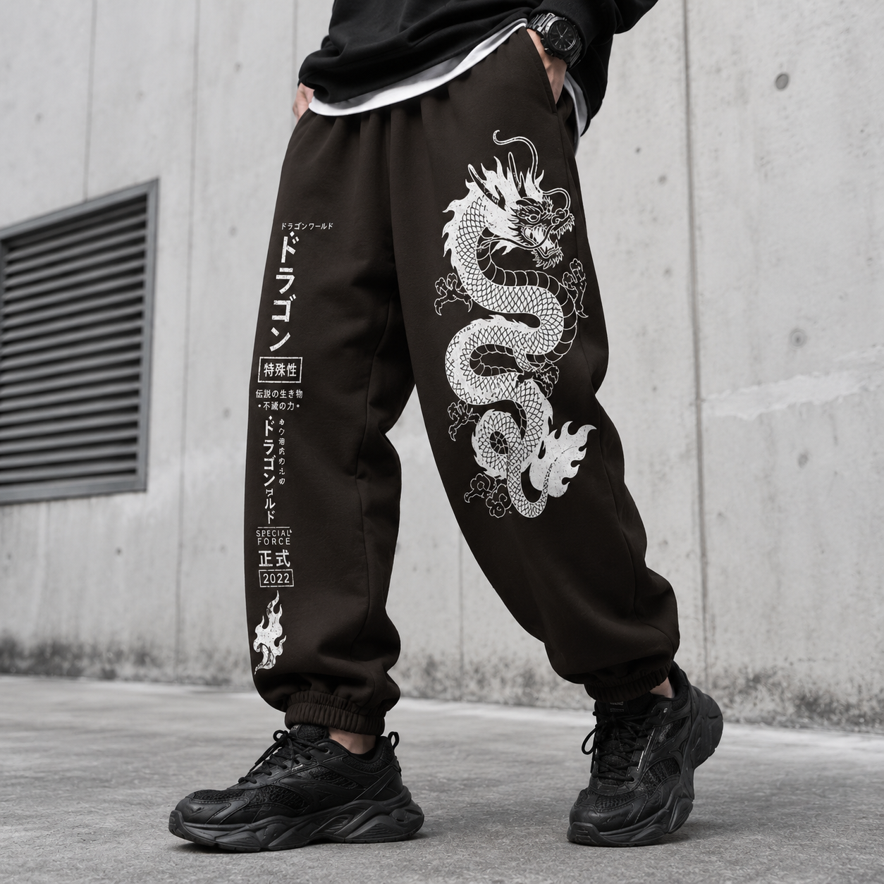 Japanese Brown Dragon Techwear pants