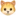 🐱
