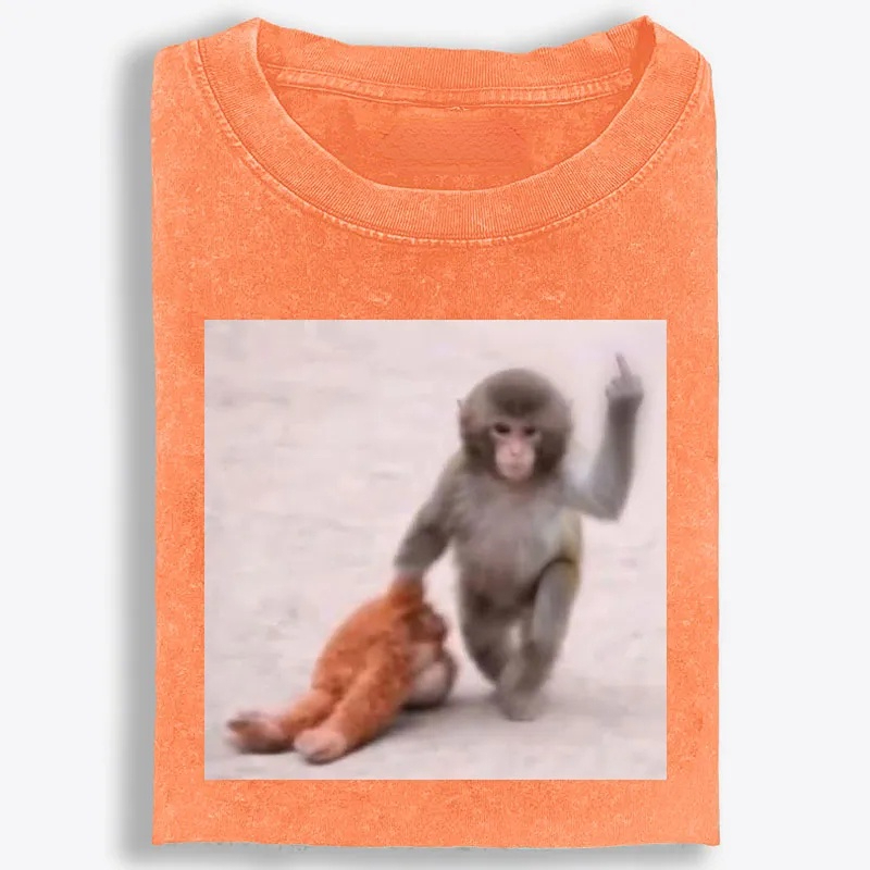 Punch-kun Monkey Meme Graphic Retro Washed T-Shirt | 100% Cotton | Streetwear Essential