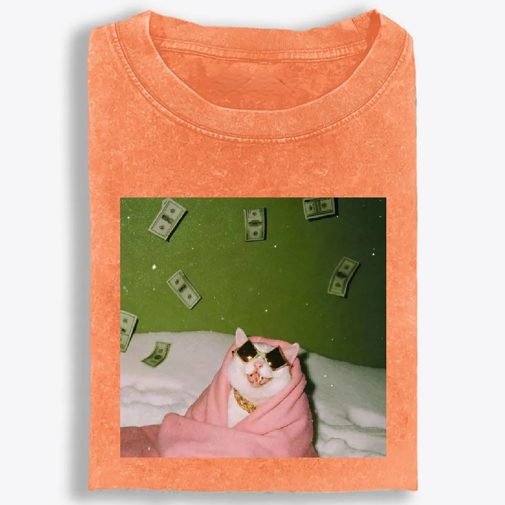 Rich Cat with Money Retro Washed T-Shirt | 100% Cotton | Streetwear Essential