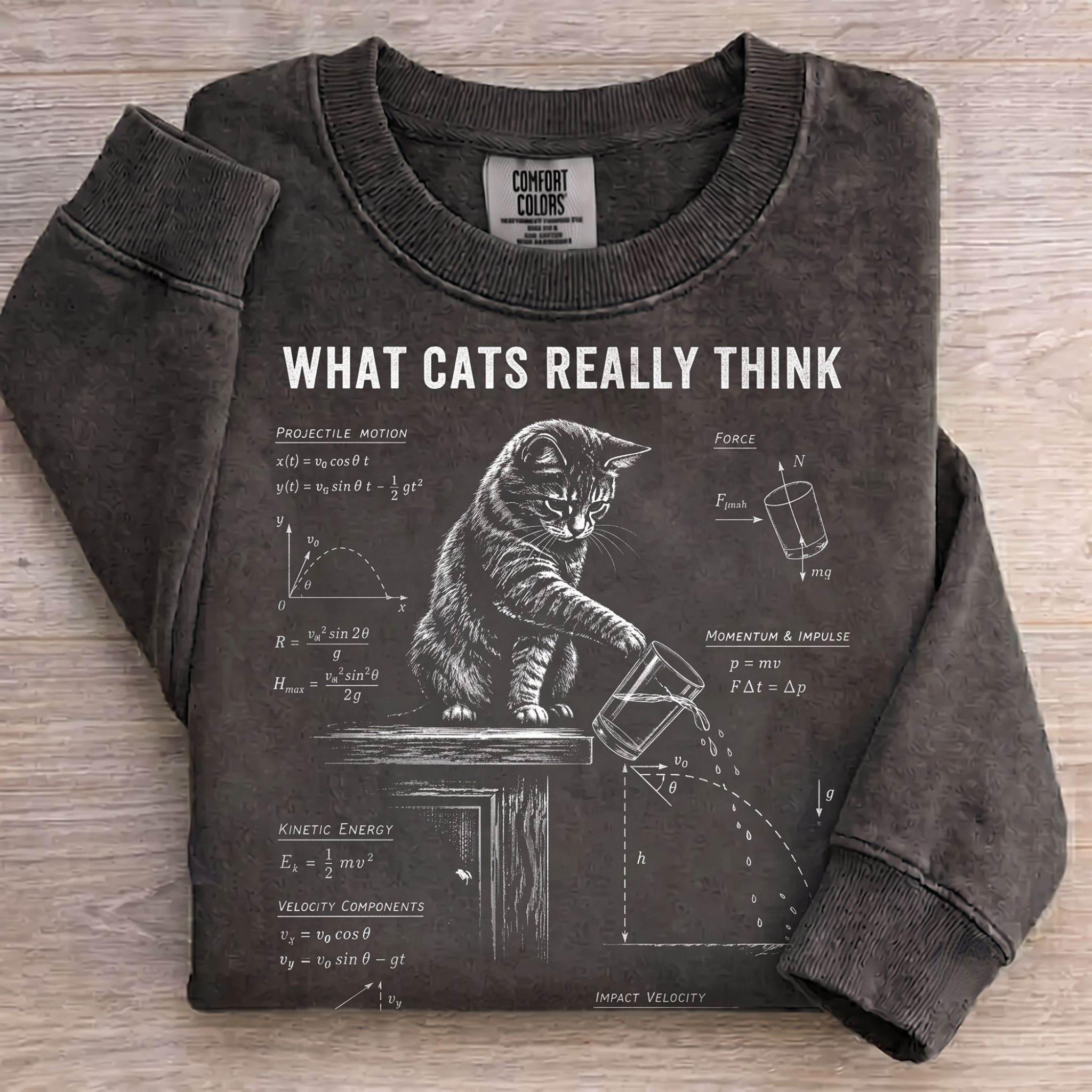 Funny Cat Physics Sweatshirt