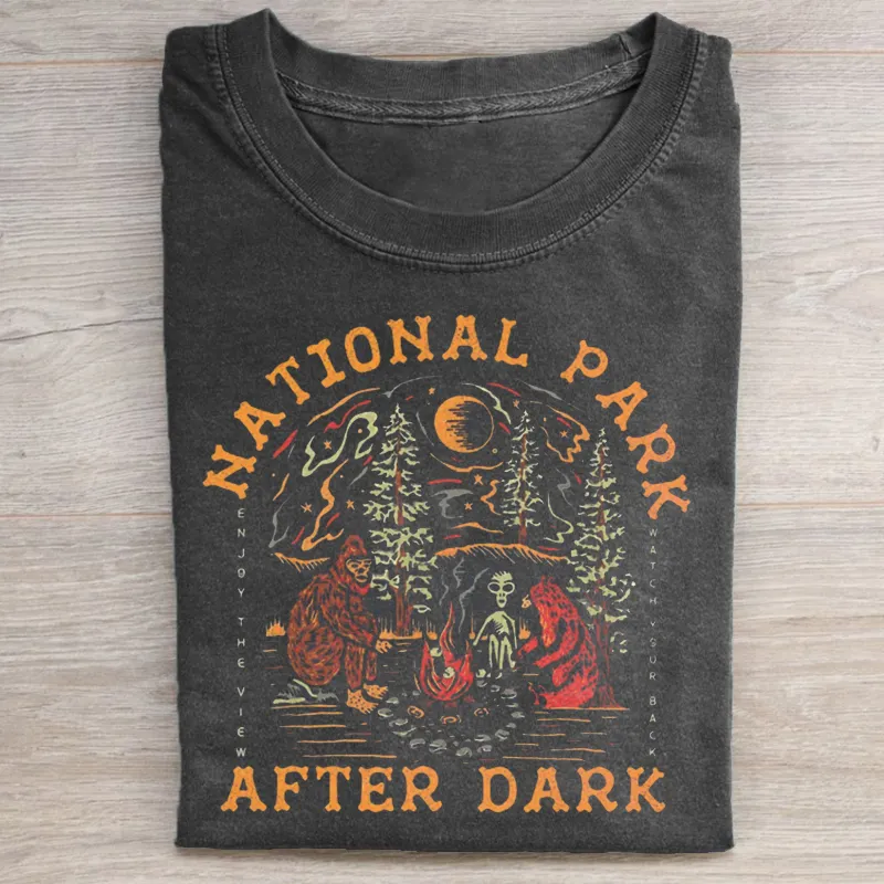 National Park After Dark T-shirt