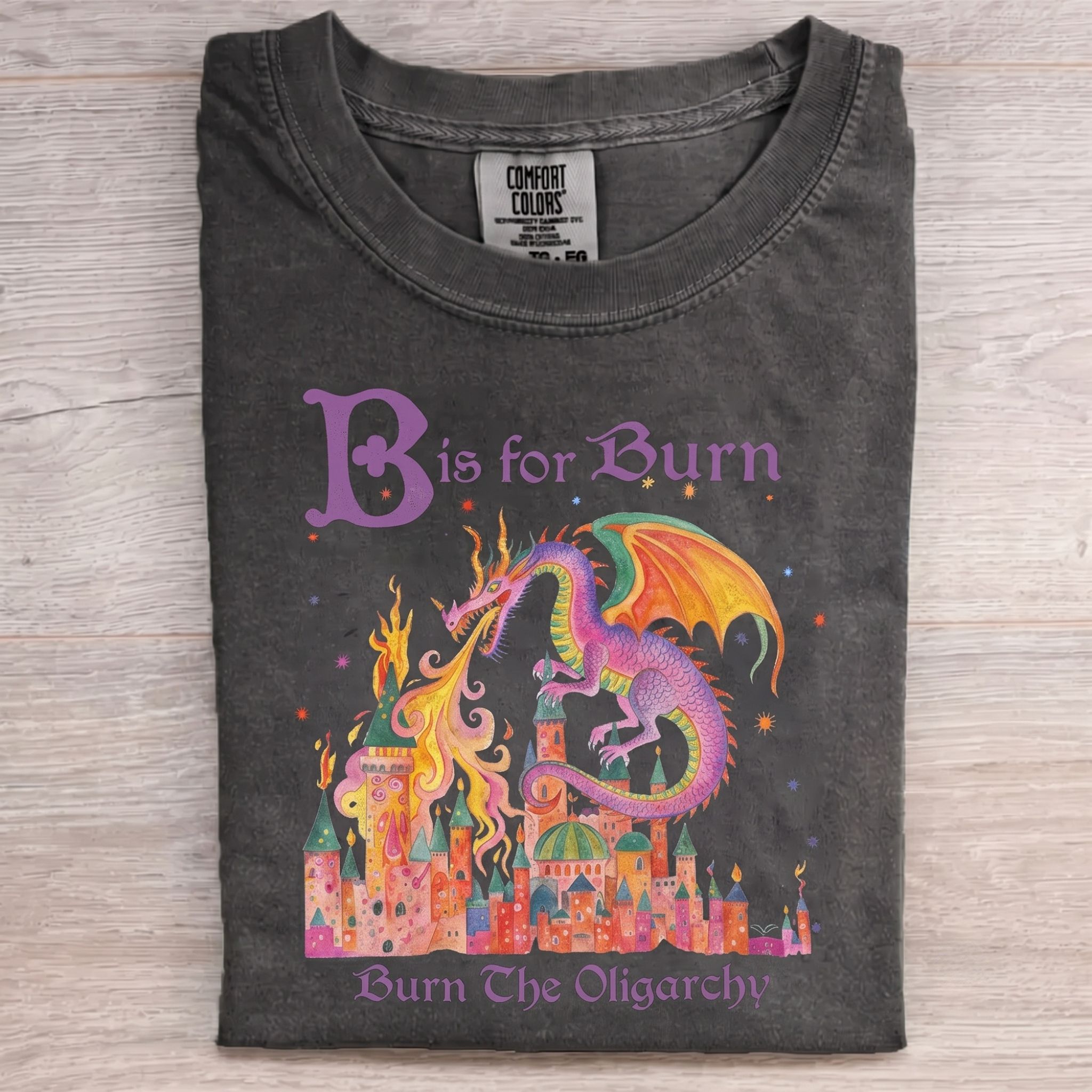 Burn The Oligarchy Washed T-Shirt