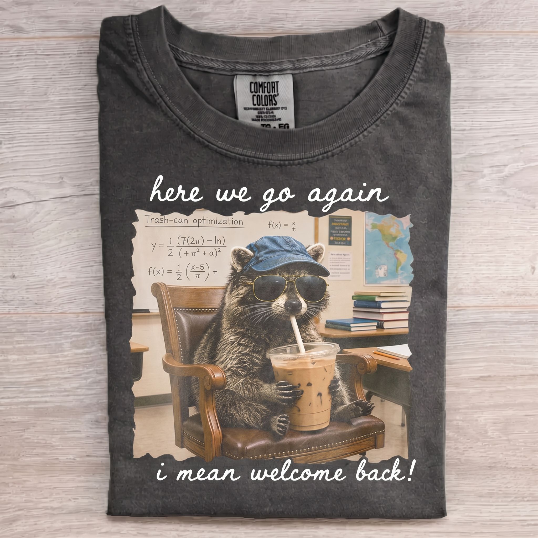 Funny Raccoon Math Teacher Back to School T-Shirt