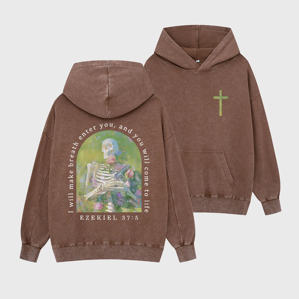 I Will Make Breath Enter You Christian Washed Hoodie