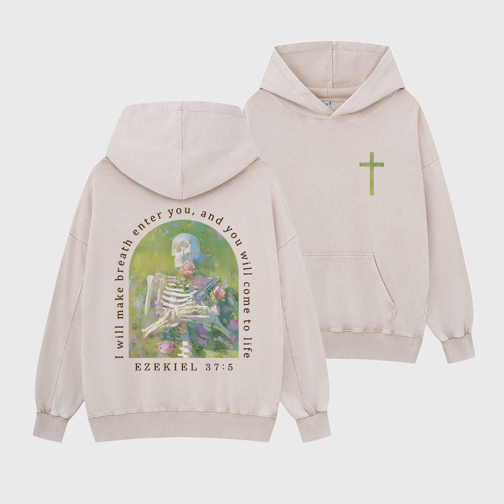 I Will Make Breath Enter You Christian Washed Hoodie