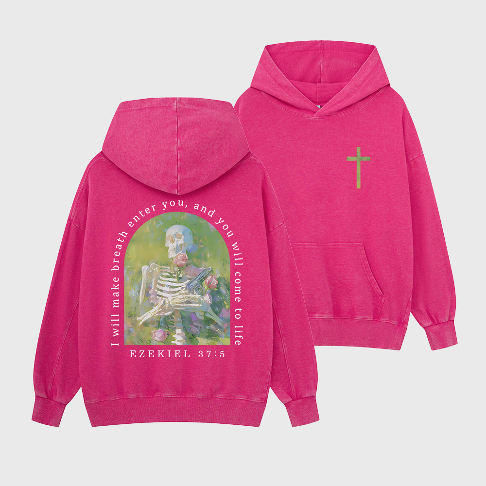 I Will Make Breath Enter You Christian Washed Hoodie