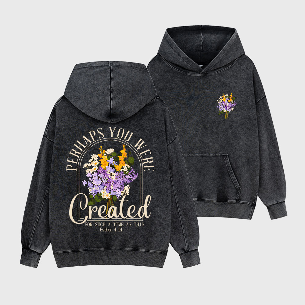 Perhaps You Were Created Christian Washed Hoodie