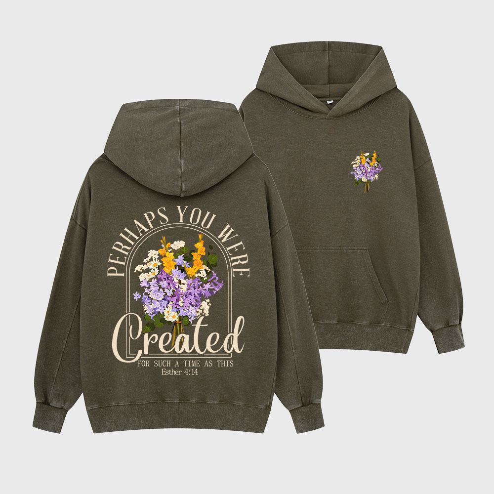 Perhaps You Were Created Christian Washed Hoodie