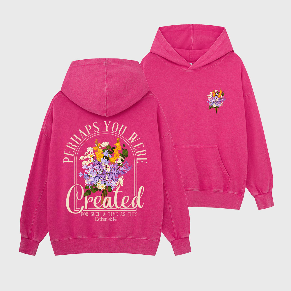 Perhaps You Were Created Christian Washed Hoodie