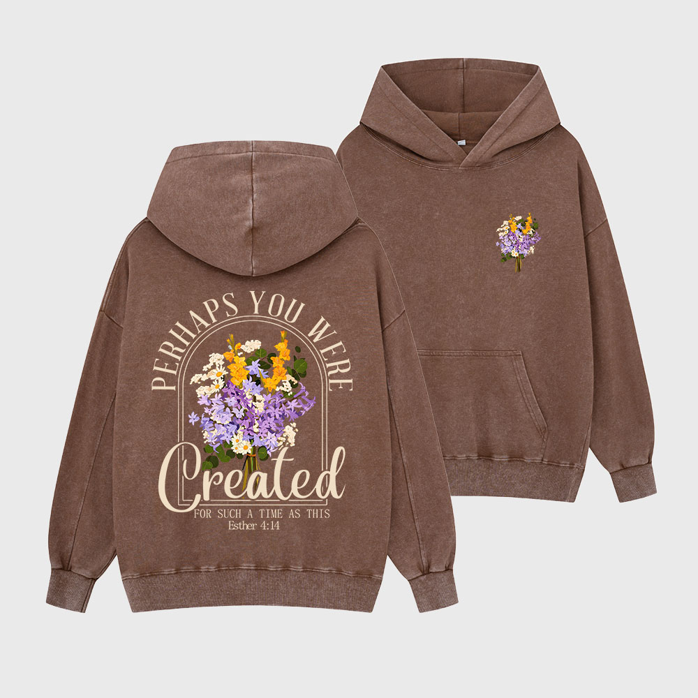 Perhaps You Were Created Christian Washed Hoodie
