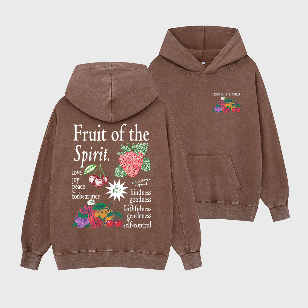 Fruit Of The Spirit Christian Washed Hoodie