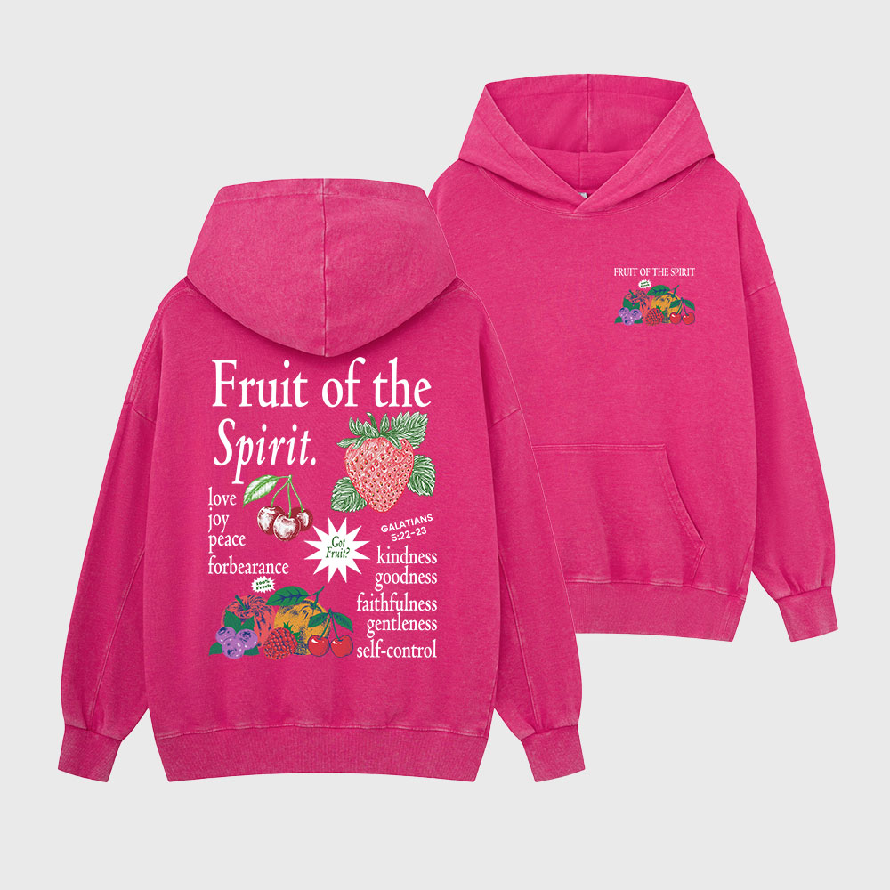 Fruit Of The Spirit Christian Washed Hoodie