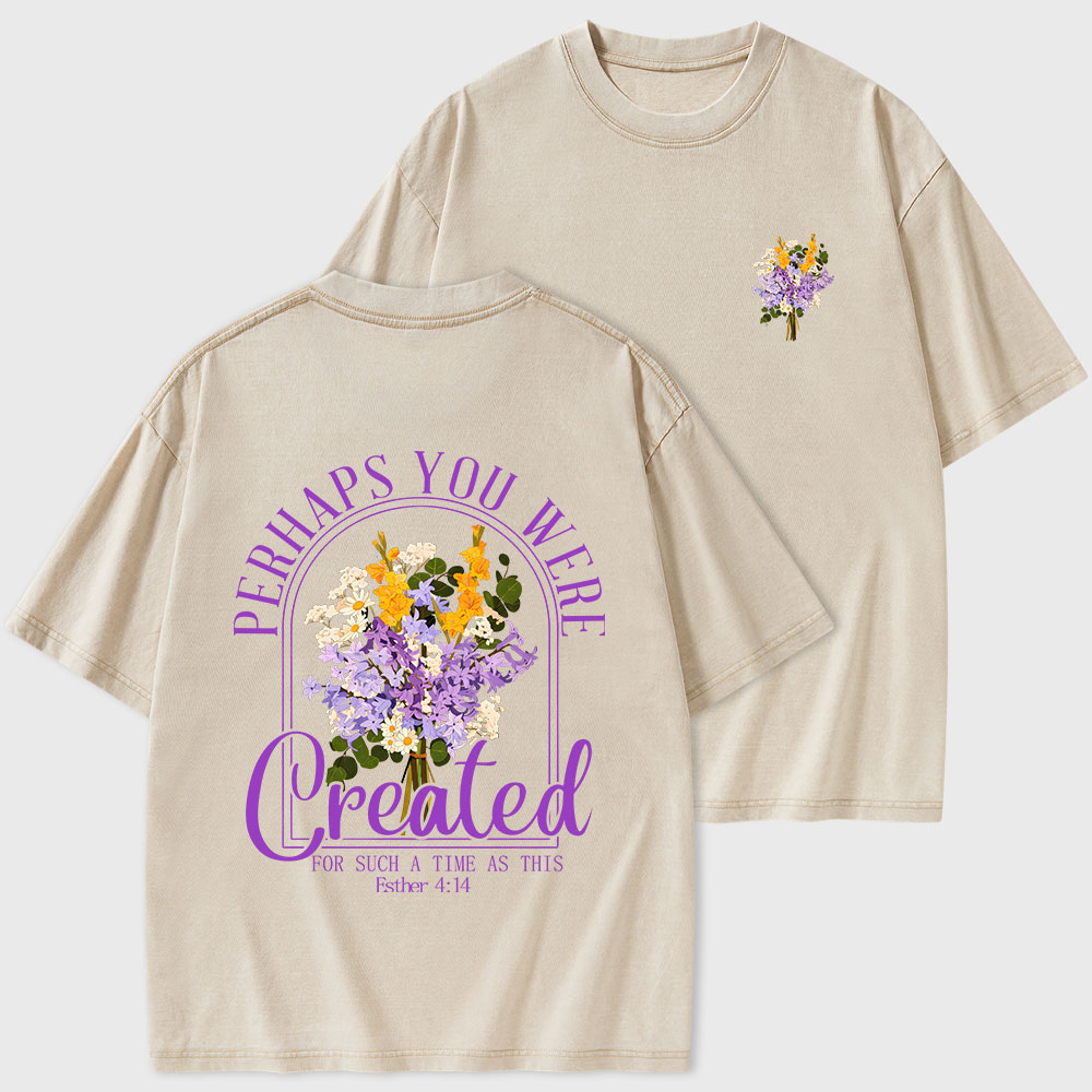 Perhaps You Were Created Christian Washed T-Shirt