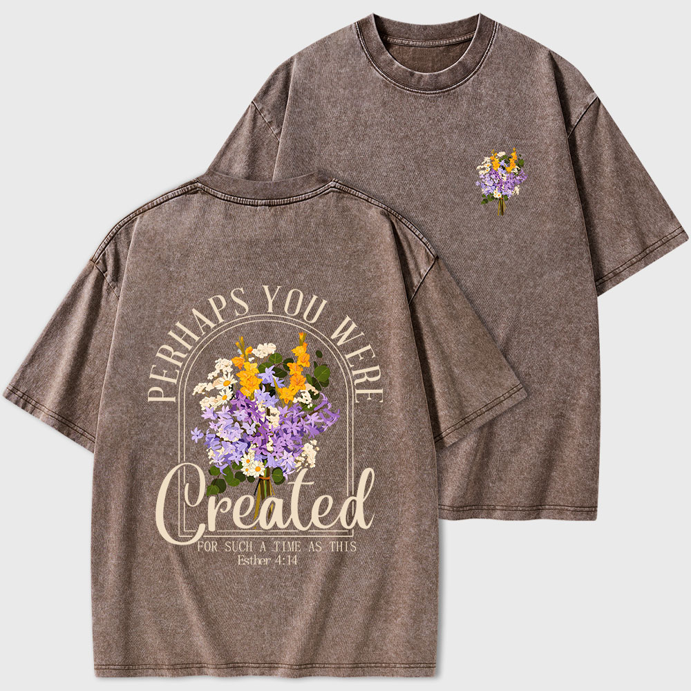 Perhaps You Were Created Christian Washed T-Shirt