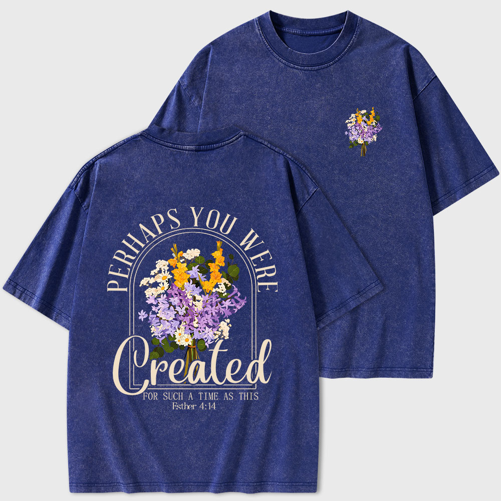 Perhaps You Were Created Christian Washed T-Shirt