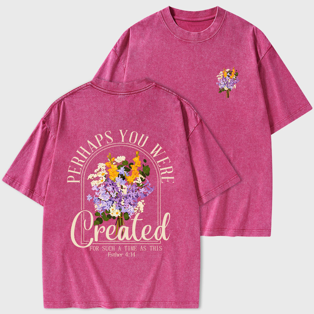 Perhaps You Were Created Christian Washed T-Shirt