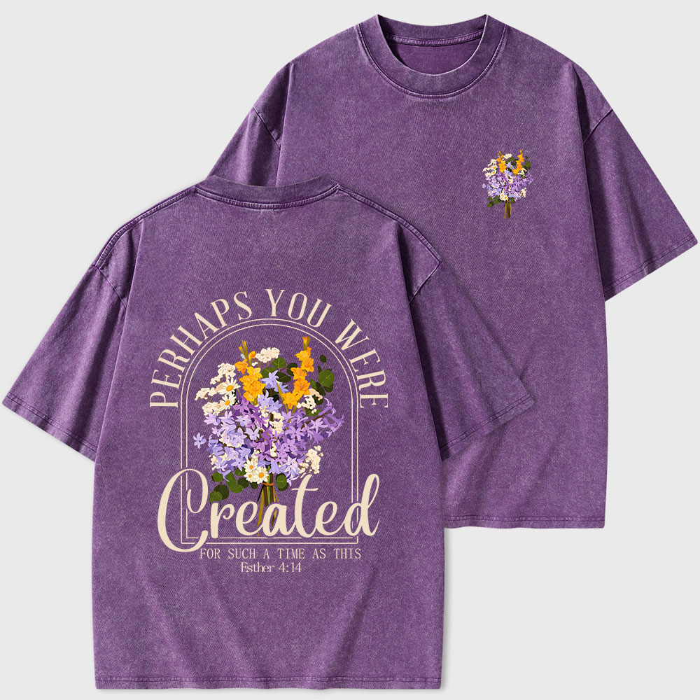 Perhaps You Were Created Christian Washed T-Shirt