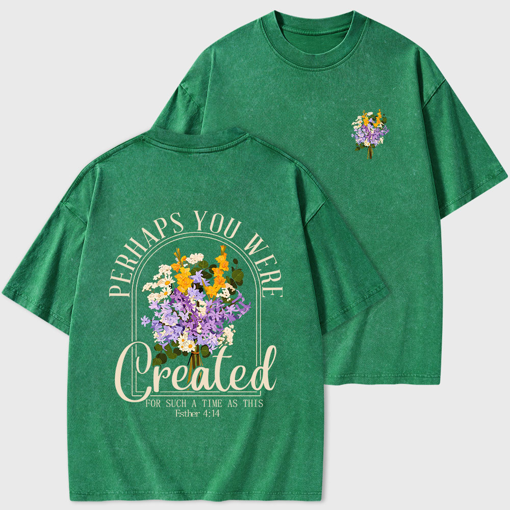 Perhaps You Were Created Christian Washed T-Shirt