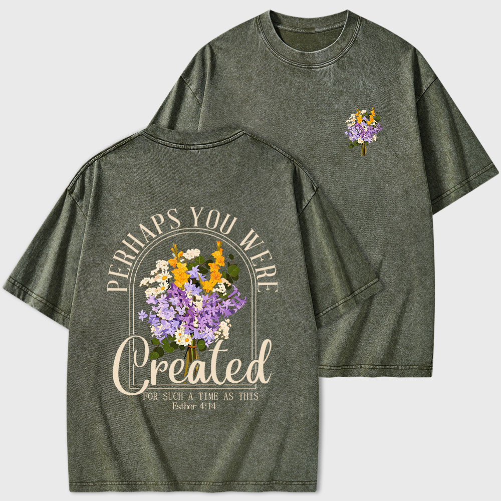 Perhaps You Were Created Christian Washed T-Shirt