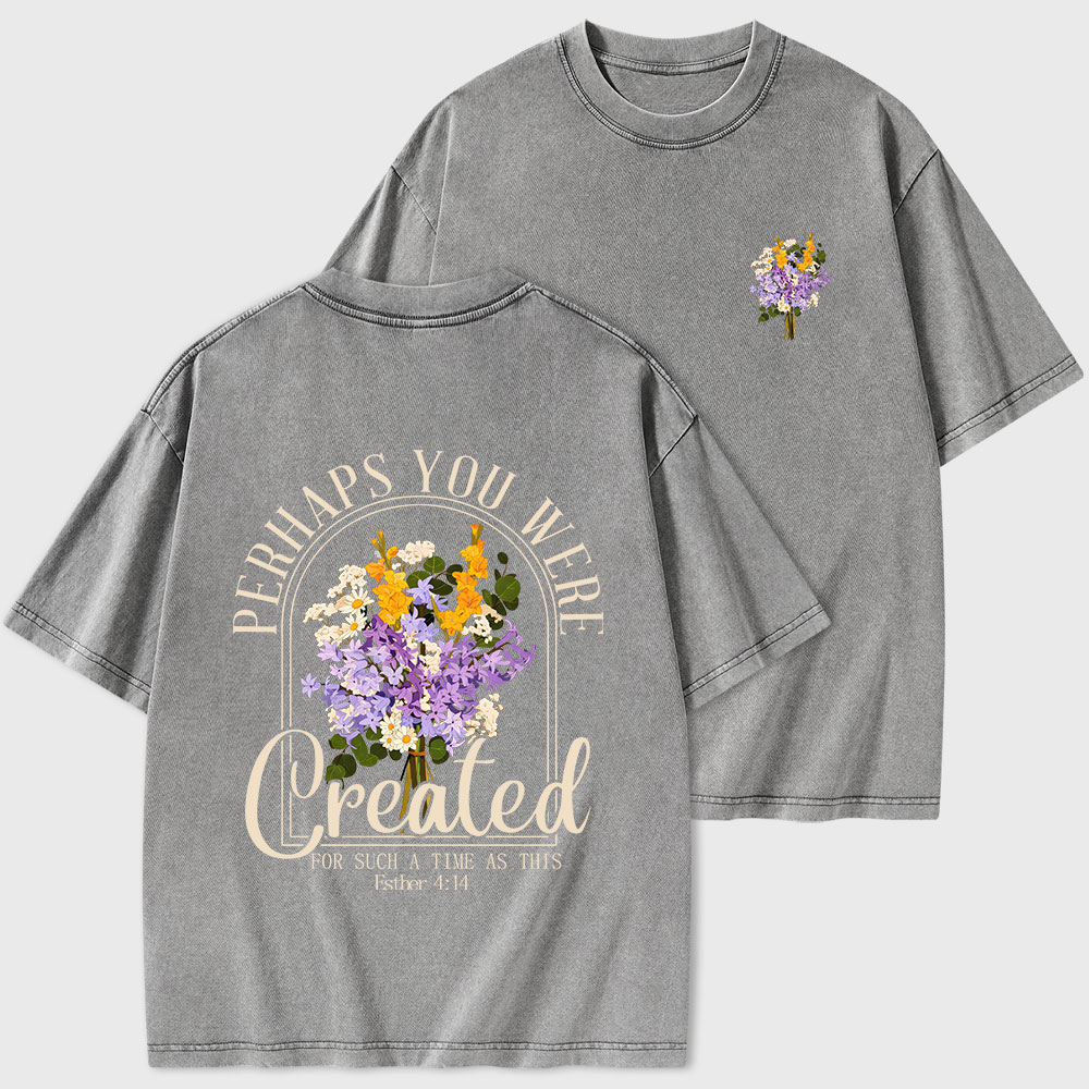 Perhaps You Were Created Christian Washed T-Shirt