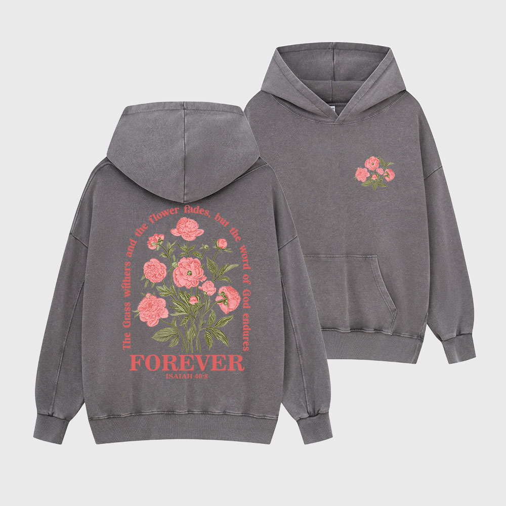The Word Of God Endures Christian Washed Hoodie