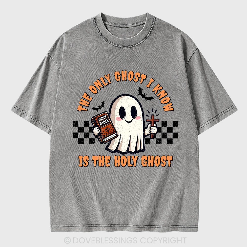The Only Ghost I Know Is The Holy Ghost Christian Washed T-Shirt