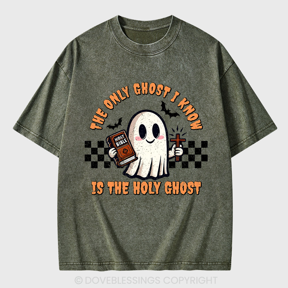 The Only Ghost I Know Is The Holy Ghost Christian Washed T-Shirt