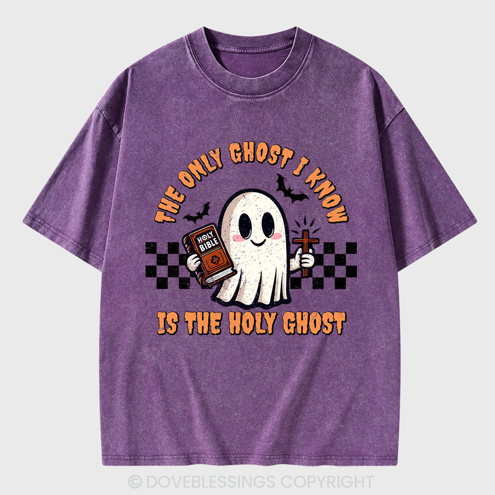 The Only Ghost I Know Is The Holy Ghost Christian Washed T-Shirt