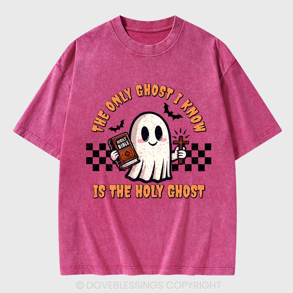 The Only Ghost I Know Is The Holy Ghost Christian Washed T-Shirt