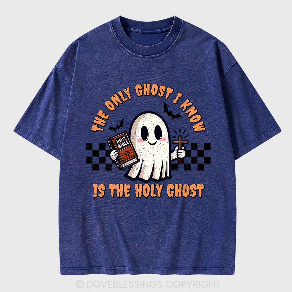The Only Ghost I Know Is The Holy Ghost Christian Washed T-Shirt