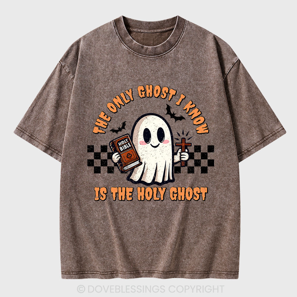 The Only Ghost I Know Is The Holy Ghost Christian Washed T-Shirt