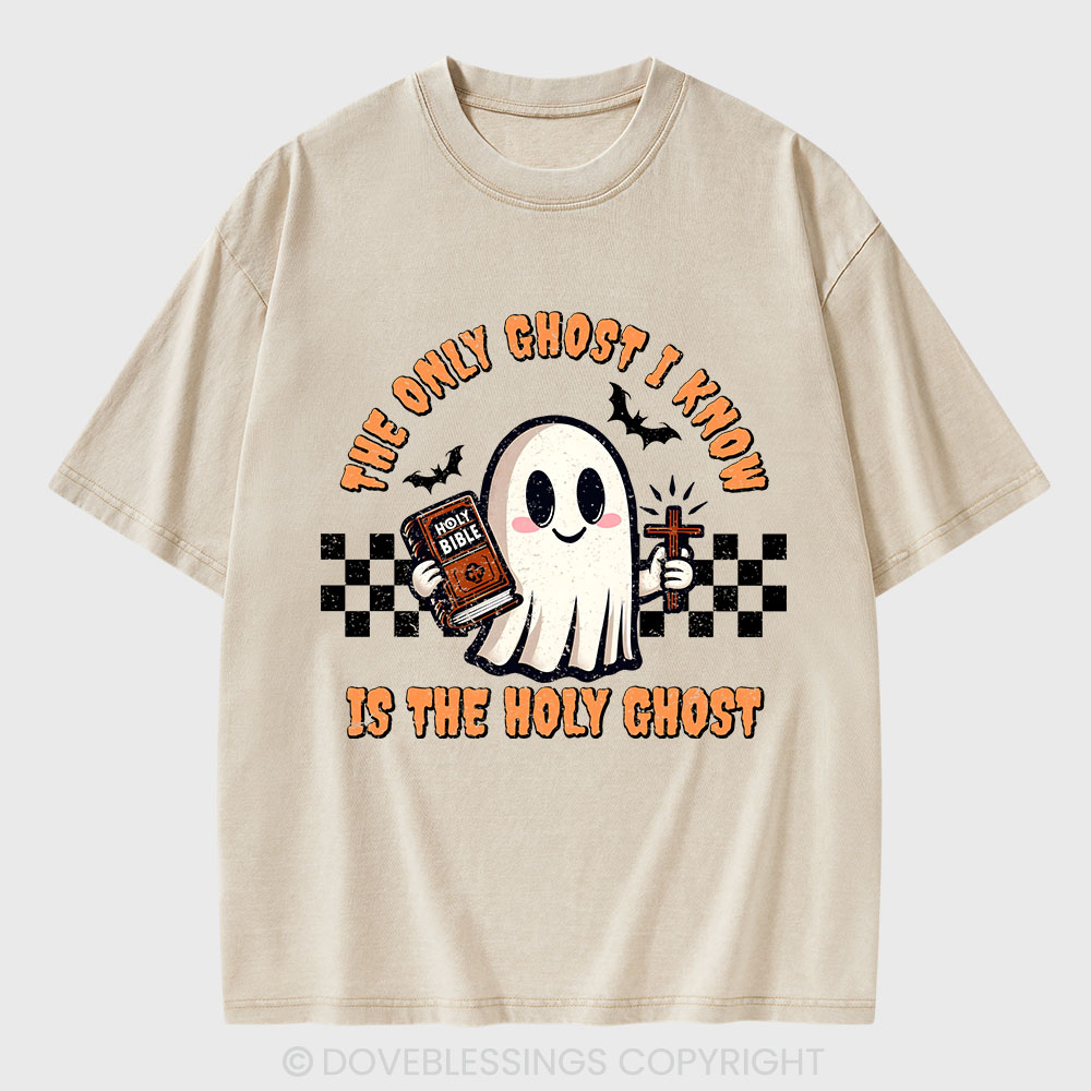 The Only Ghost I Know Is The Holy Ghost Christian Washed T-Shirt