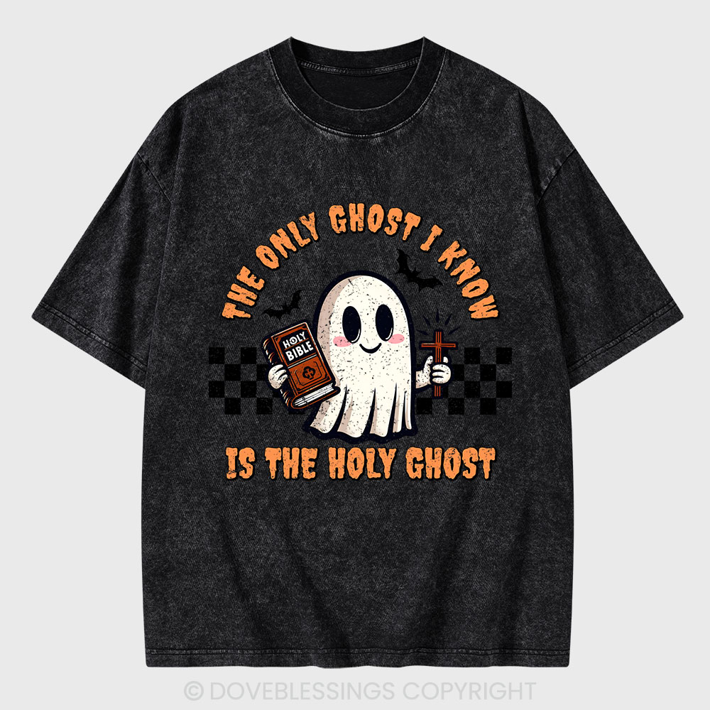 The Only Ghost I Know Is The Holy Ghost Christian Washed T-Shirt