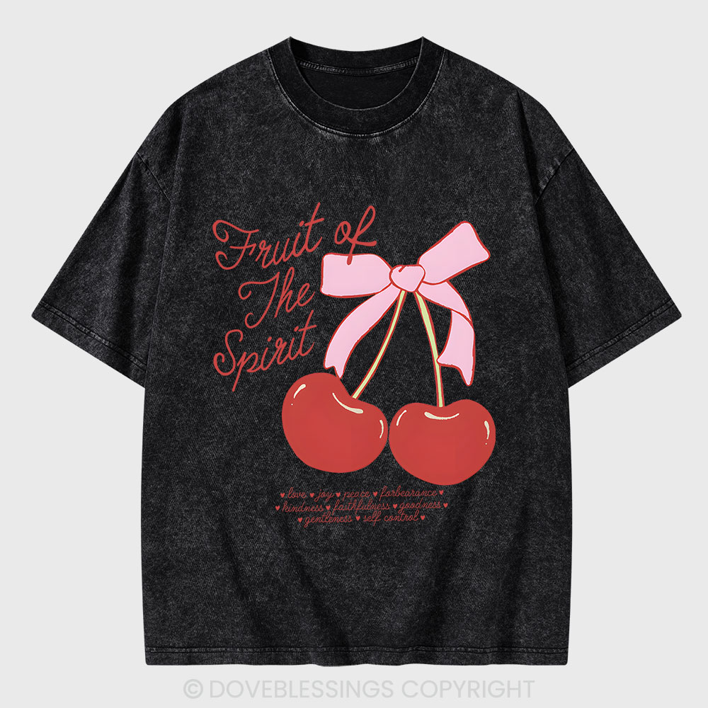 Fruit Of The Spirit Christian Washed T-Shirt