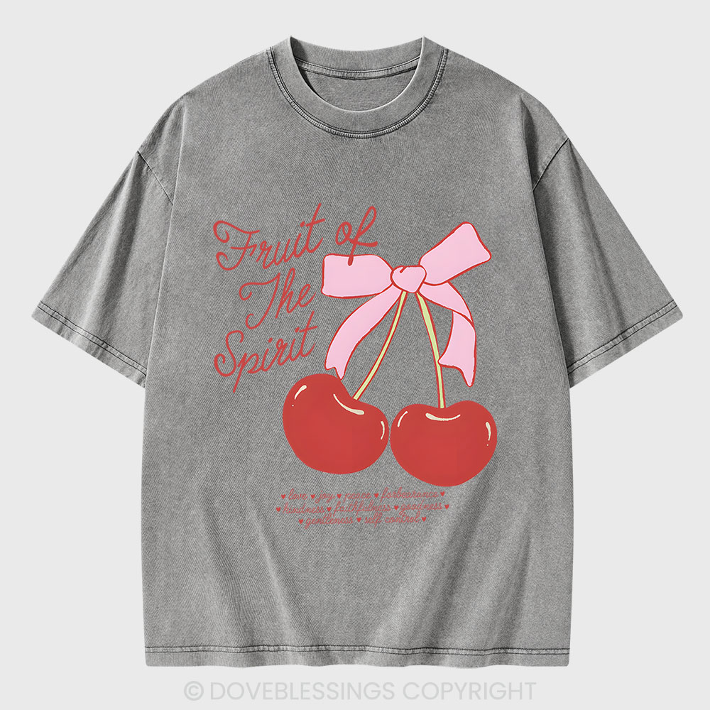 Fruit Of The Spirit Christian Washed T-Shirt