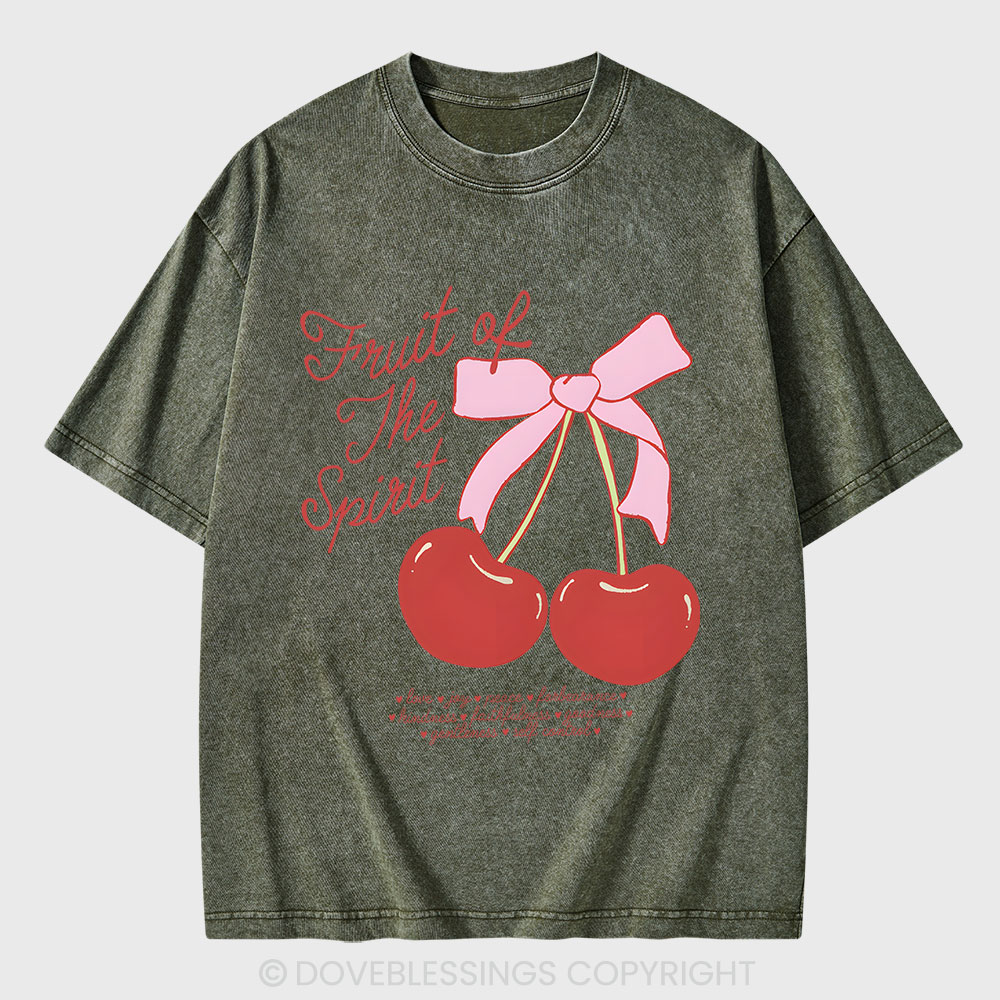 Fruit Of The Spirit Christian Washed T-Shirt