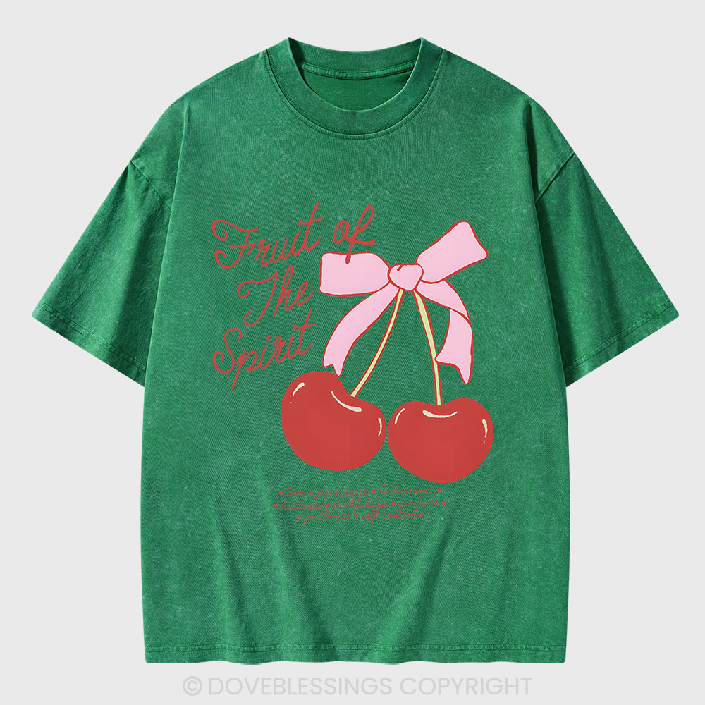 Fruit Of The Spirit Christian Washed T-Shirt