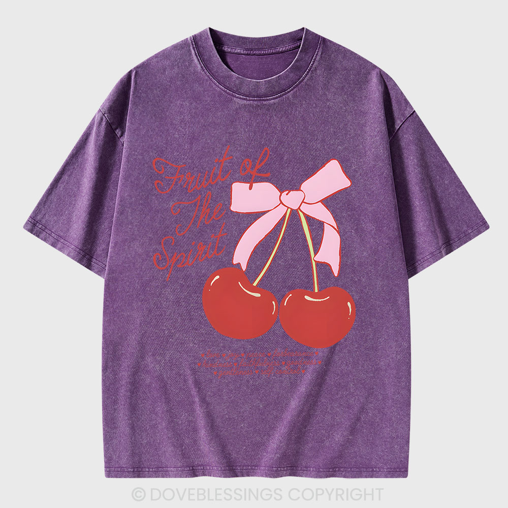 Fruit Of The Spirit Christian Washed T-Shirt