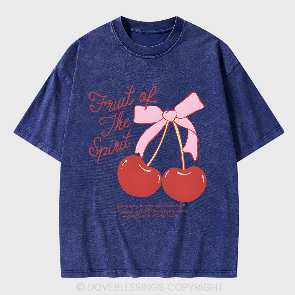 Fruit Of The Spirit Christian Washed T-Shirt
