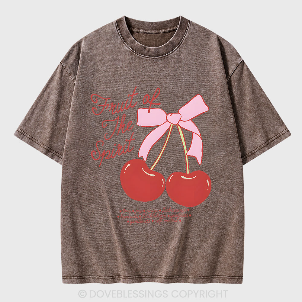 Fruit Of The Spirit Christian Washed T-Shirt