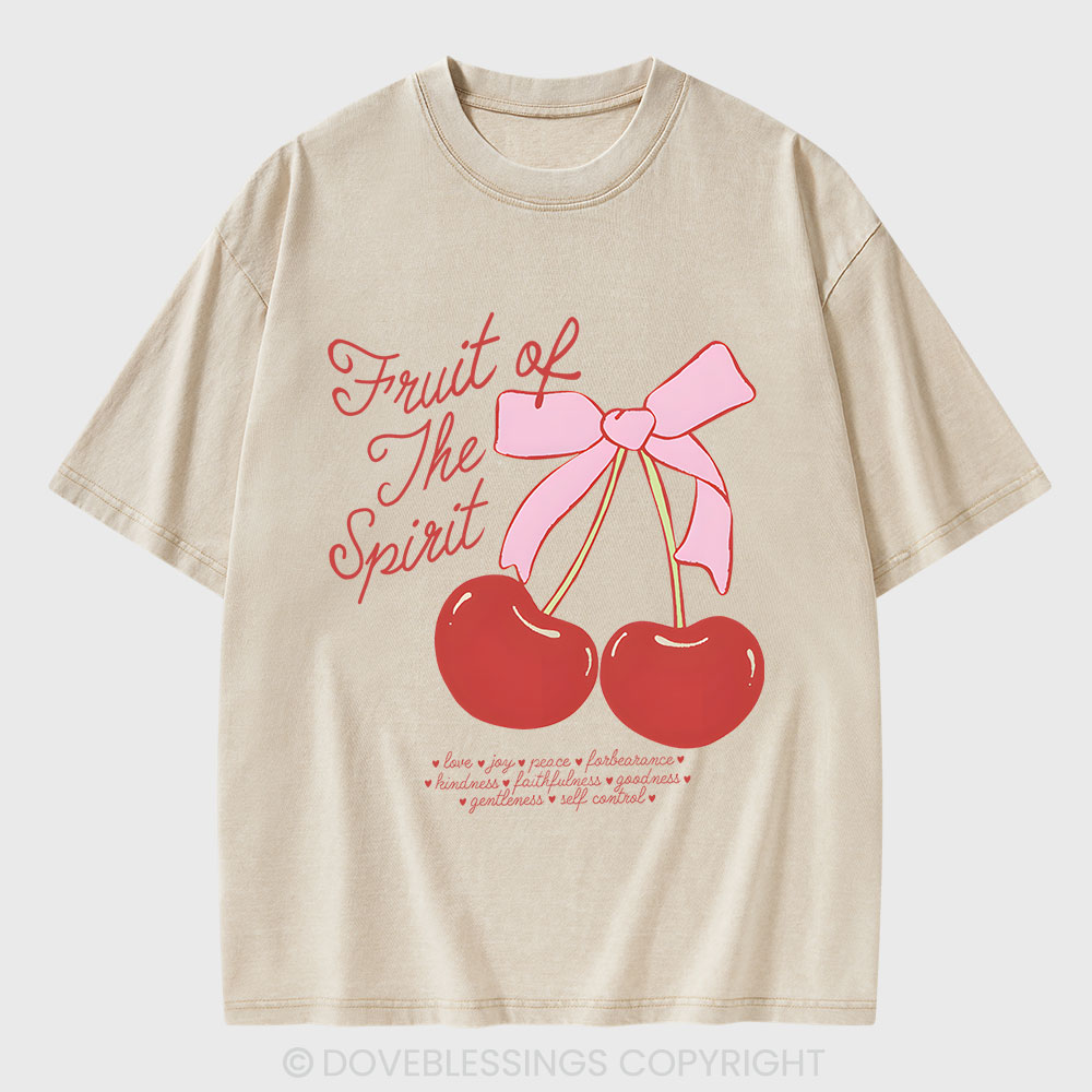 Fruit Of The Spirit Christian Washed T-Shirt