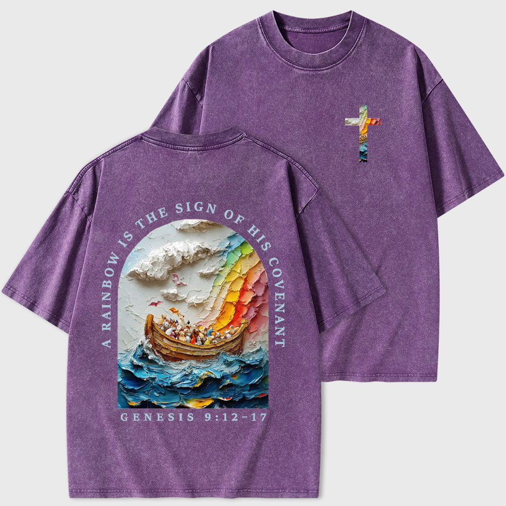 A Rainbow Is The Sign Of His Covenant Christian Washed T-Shirt