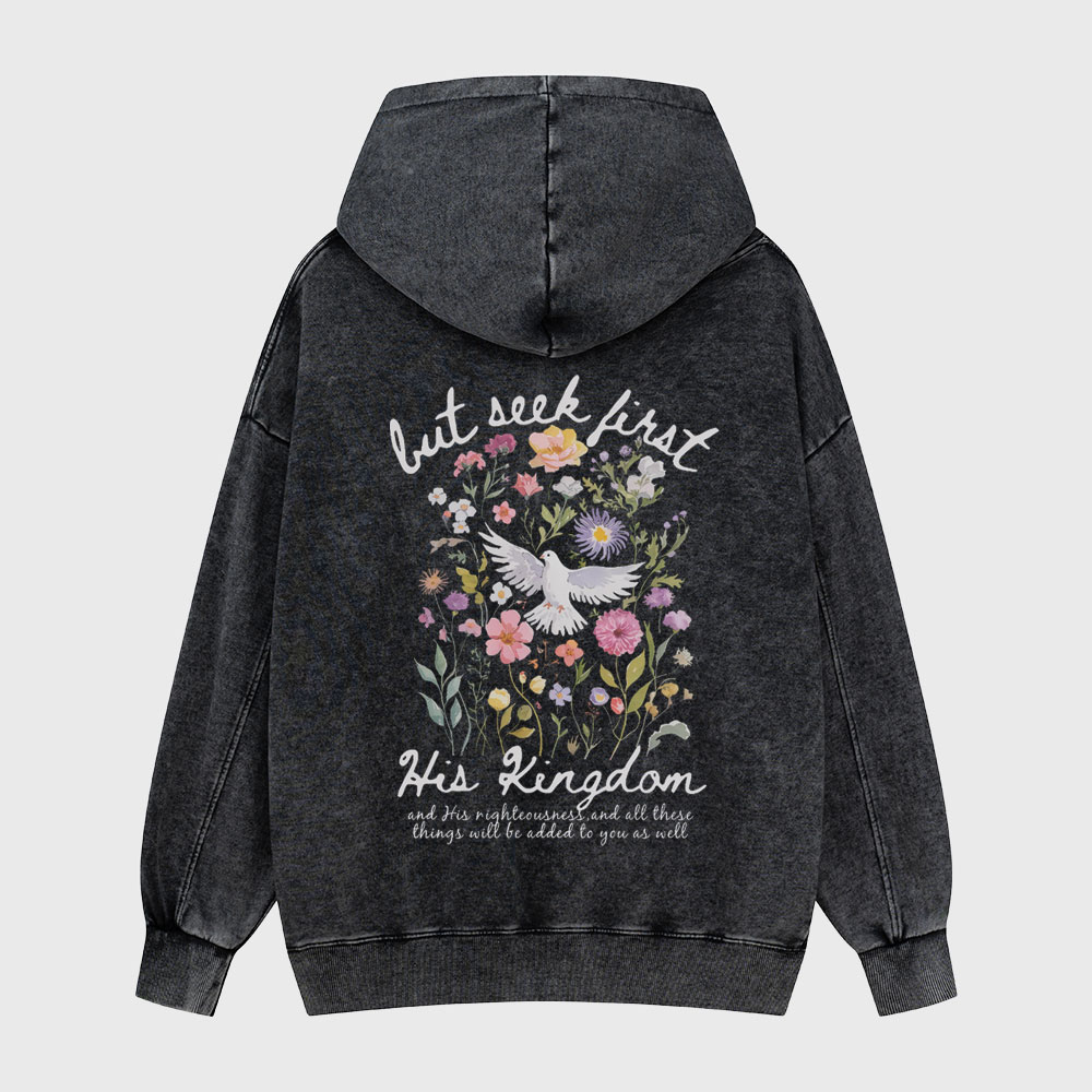 But Seek First His Kingdom Christian Washed Hoodie