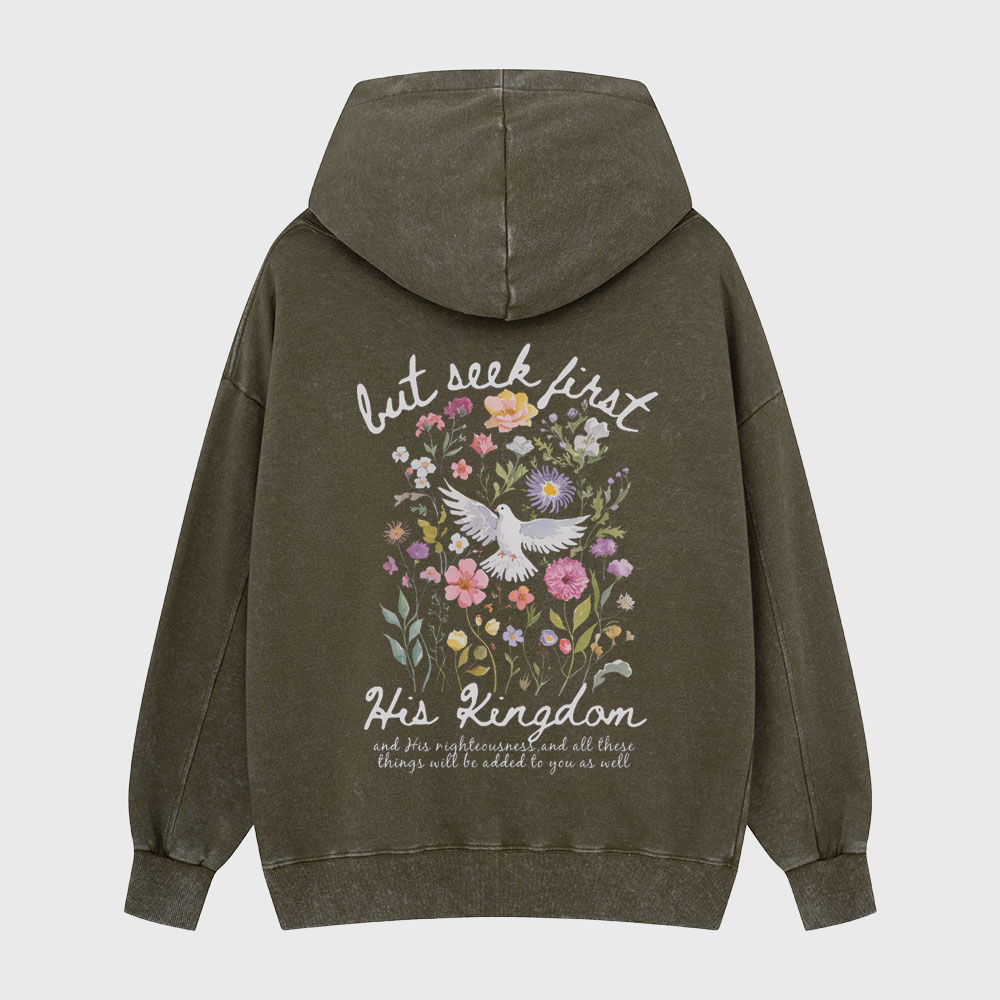 But Seek First His Kingdom Christian Washed Hoodie
